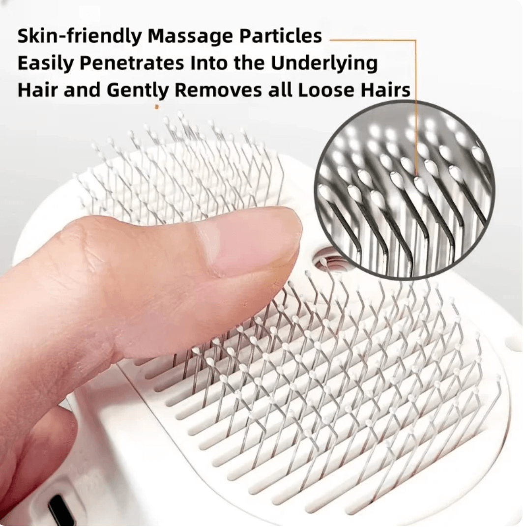 Advance Steam Brush for Pets