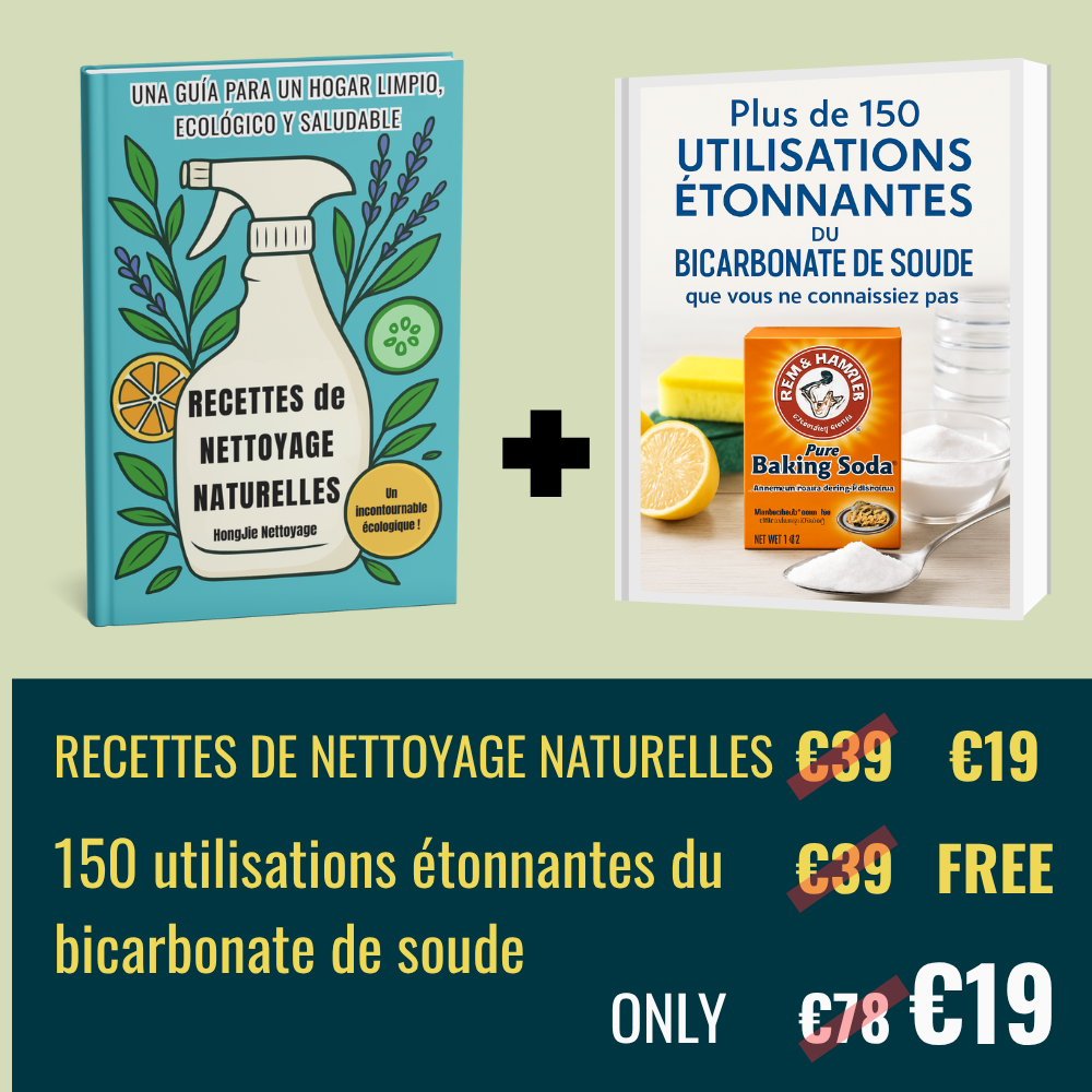 RECETTES DE NETTOYAGE NATURELLES EBOOK + bonus gratuit