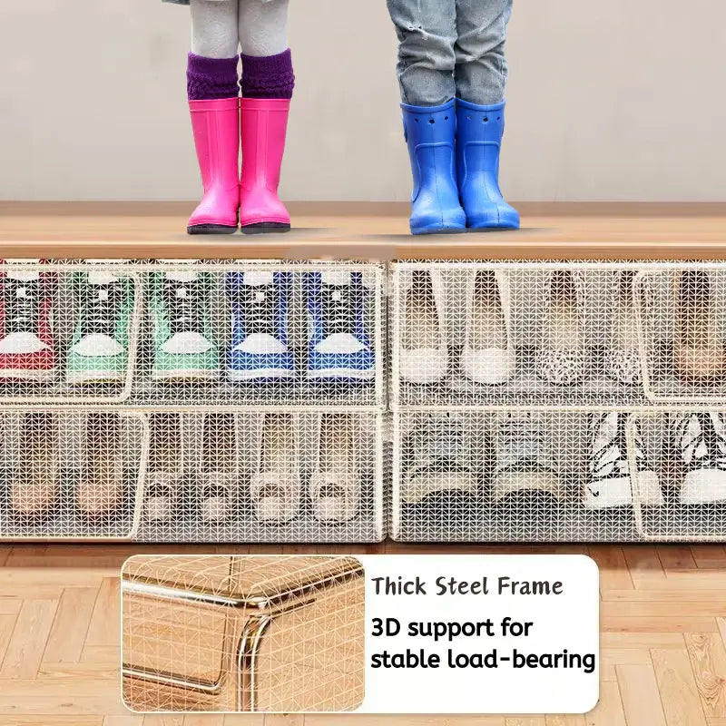 Shoe Storage Box