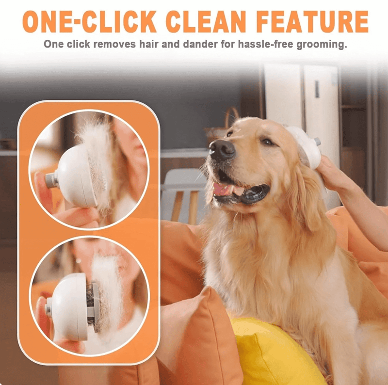 Advance Steam Brush for Pets