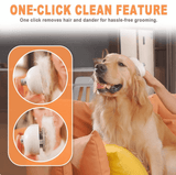 Advance Steam Brush for Pets