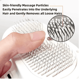 Advance Steam Brush for Pets