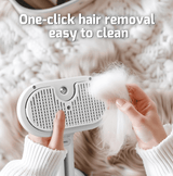 Advance Steam Brush for Pets